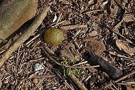 Bernhard Saalfeld - DSC01530 -1